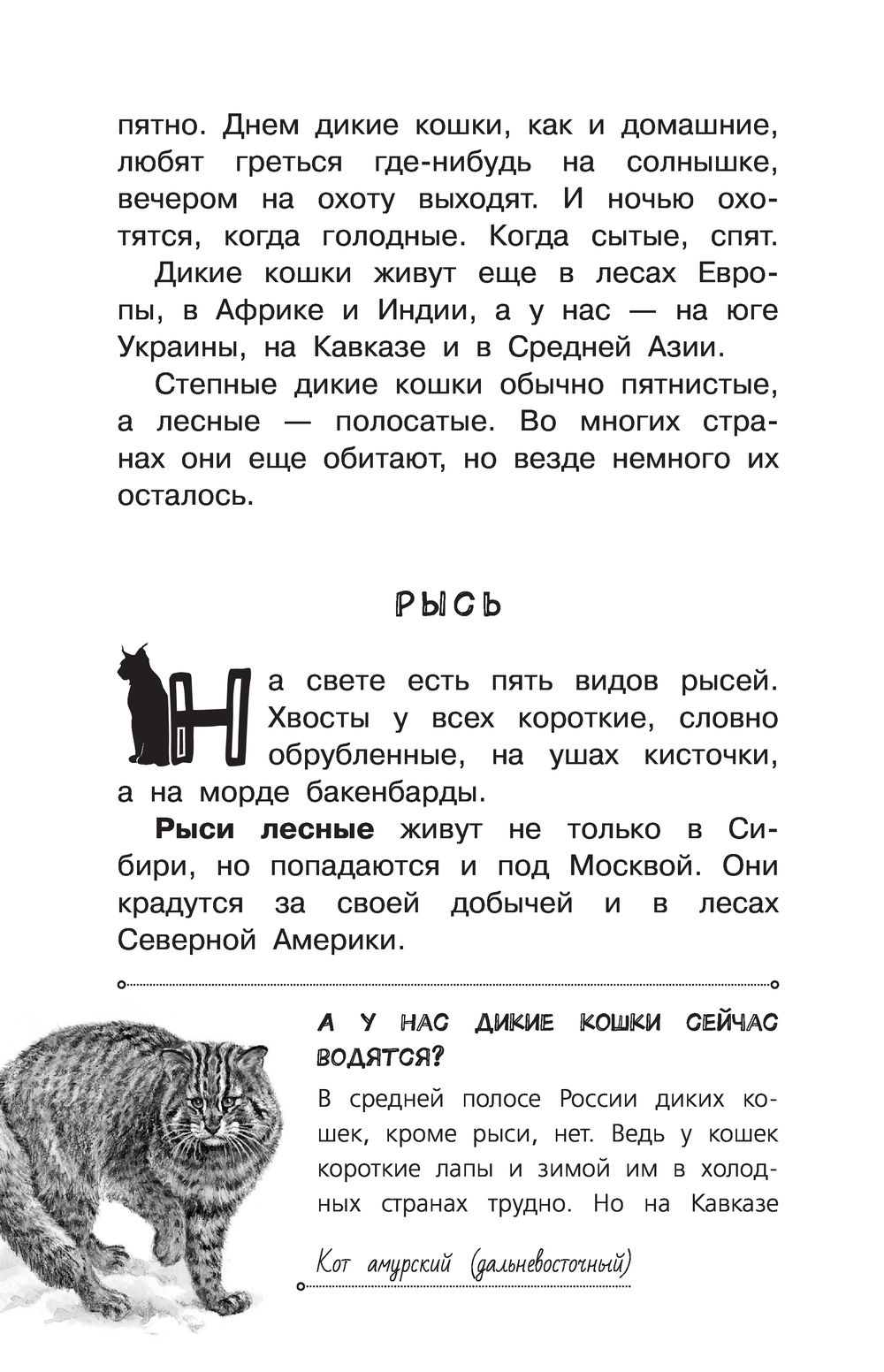 Рассказы о любимых животных Игорь Акимушкин - купить книгу Рассказы о  любимых животных в Минске — Издательство АСТ на OZ.by