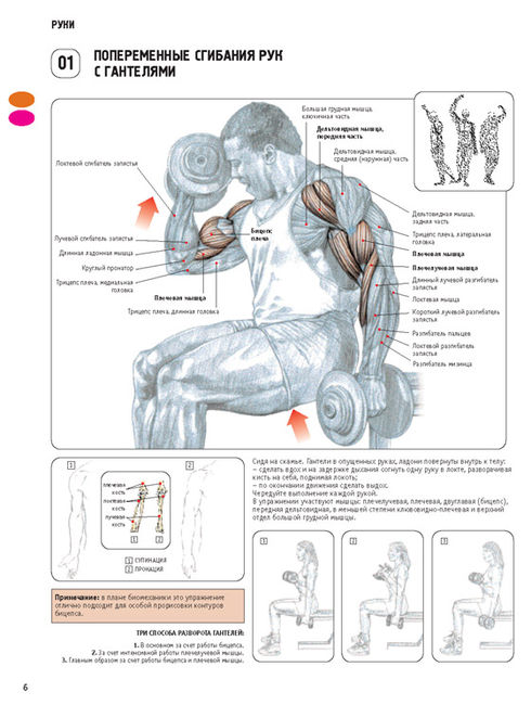 Скачать книгу фредерика делавье анатомия силовых упражнений