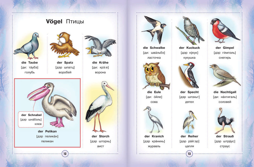 Перевести птиц на английский. Птицы на английском языке. Название животных и птиц. Названия птиц на английском языке. Птицы на английском языке с переводом.