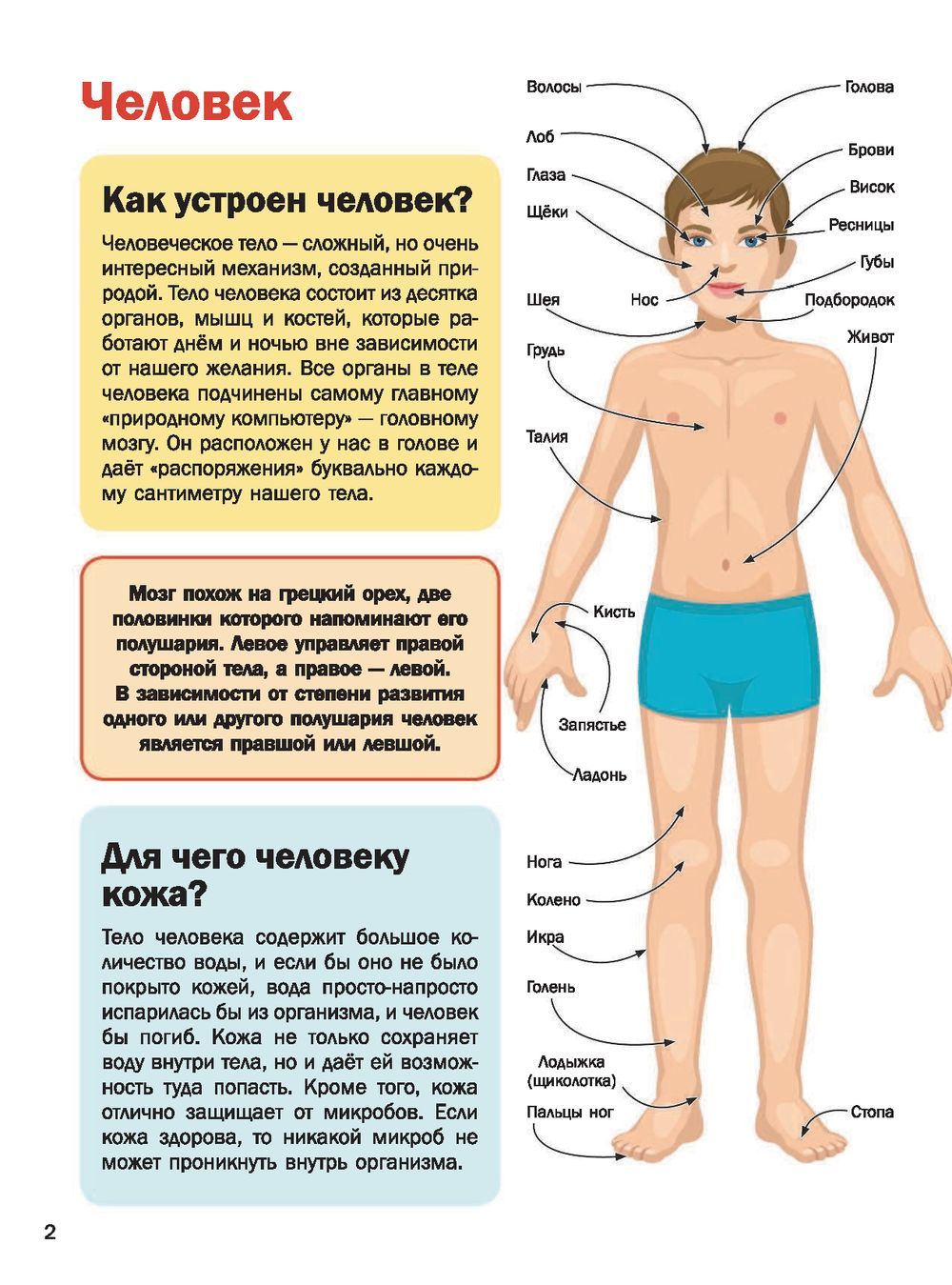 5000 Что? Зачем? Почему? в картинках, которые можно рассматривать целый год  - купить книгу 5000 Что? Зачем? Почему? в картинках, которые можно  рассматривать целый год в Минске — Издательство АСТ на OZ.by