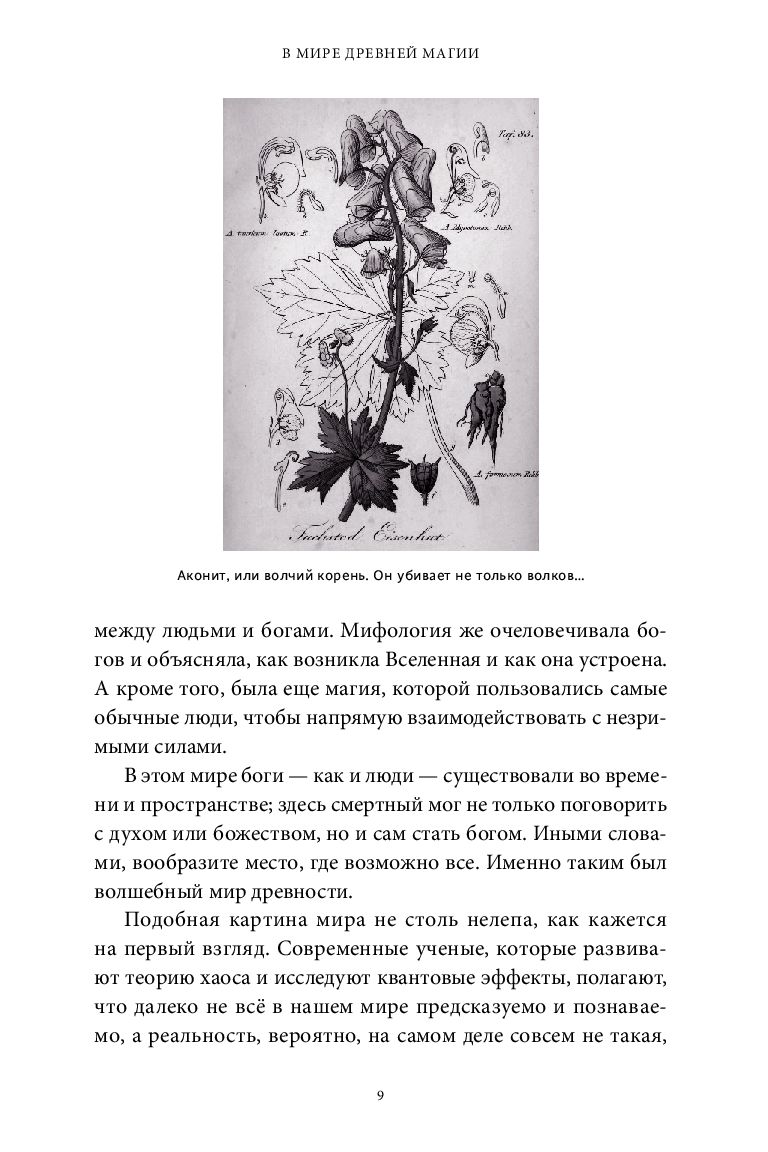 Древняя магия. От драконов и оборотней до зелий и защиты от тёмных сил  Филипп Матышак - купить книгу Древняя магия. От драконов и оборотней до  зелий и защиты от тёмных сил в