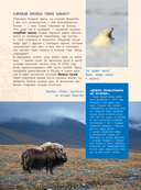 100 вопросов по географии, ответы на которые должен знать каждый — фото, картинка — 21