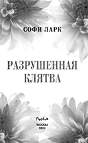 Разрушенная клятва — фото, картинка — 3