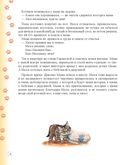 Необыкновенные приключения кошки Нюси. Домовой и тайна волшебной книги — фото, картинка — 4