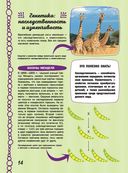 Большая 4D-книга для девочек с дополненной реальностью — фото, картинка — 13