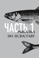 Все о зимней рыбалке — фото, картинка — 7