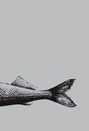 Все о зимней рыбалке — фото, картинка — 8