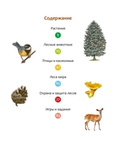 Жизнь леса — фото, картинка — 1