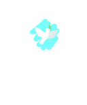 Птицы — фото, картинка — 1