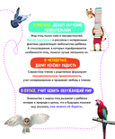 Птицы — фото, картинка — 5