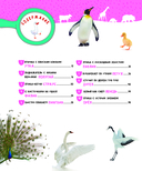 Птицы — фото, картинка — 6