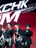 Stray Kids и я. Иллюстрированный фанбук с фотографиями группы — фото, картинка — 3