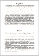 Мир в картинках. Птицы. Набор из 4 пособий — фото, картинка — 3