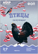 Мир в картинках. Птицы. Набор из 4 пособий — фото, картинка — 7