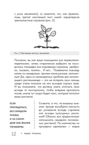 Огород без прополки. Лучшая стратегия в борьбе с сорняками — фото, картинка — 11