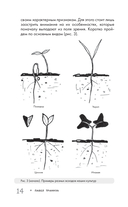 Огород без прополки. Лучшая стратегия в борьбе с сорняками — фото, картинка — 13