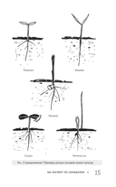 Огород без прополки. Лучшая стратегия в борьбе с сорняками — фото, картинка — 14