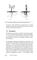 Огород без прополки. Лучшая стратегия в борьбе с сорняками — фото, картинка — 15