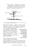 Огород без прополки. Лучшая стратегия в борьбе с сорняками — фото, картинка — 10