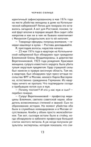 Черное солнце — фото, картинка — 12