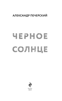 Черное солнце — фото, картинка — 2