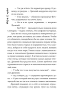Хроники Драгомира. Книга 2. В тени Обсидиана — фото, картинка — 8