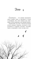 Год, который изменит все. 365 дней, чтобы стать тем, кем вы мечтаете — фото, картинка — 10