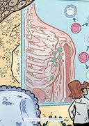 Вирусы и микробы. Научный комикс — фото, картинка — 1