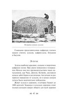 Сказки народов Африки — фото, картинка — 41