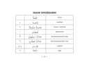 Все правила арабского языка — фото, картинка — 7