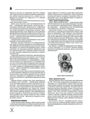 Большая медицинская энциклопедия — фото, картинка — 10