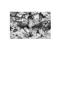 О чем молчит фотография: как современные постмортемы помогают жить — фото, картинка — 1