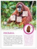 Кто живёт в зоопарке? — фото, картинка — 3