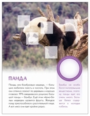 Кто живёт в зоопарке? — фото, картинка — 4