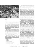 Жизнь животных. Большая иллюстрированная энциклопедия — фото, картинка — 108