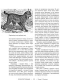 Жизнь животных. Большая иллюстрированная энциклопедия — фото, картинка — 112