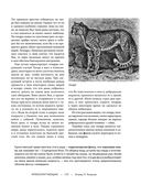Жизнь животных. Большая иллюстрированная энциклопедия — фото, картинка — 115