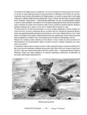 Жизнь животных. Большая иллюстрированная энциклопедия — фото, картинка — 116