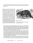 Жизнь животных. Большая иллюстрированная энциклопедия — фото, картинка — 119
