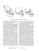 Жизнь животных. Большая иллюстрированная энциклопедия — фото, картинка — 17