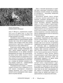 Жизнь животных. Большая иллюстрированная энциклопедия — фото, картинка — 20