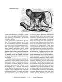 Жизнь животных. Большая иллюстрированная энциклопедия — фото, картинка — 41