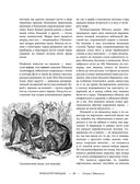 Жизнь животных. Большая иллюстрированная энциклопедия — фото, картинка — 44