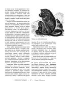 Жизнь животных. Большая иллюстрированная энциклопедия — фото, картинка — 47