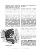 Жизнь животных. Большая иллюстрированная энциклопедия — фото, картинка — 54