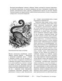 Жизнь животных. Большая иллюстрированная энциклопедия — фото, картинка — 58