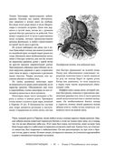 Жизнь животных. Большая иллюстрированная энциклопедия — фото, картинка — 61
