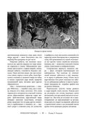 Жизнь животных. Большая иллюстрированная энциклопедия — фото, картинка — 93