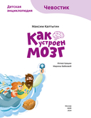 Как устроен мозг — фото, картинка — 3