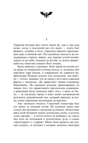 Чапаев и Пустота — фото, картинка — 8